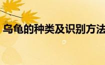 乌龟的种类及识别方法（乌龟的种类有哪些）