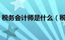 税务会计师是什么（税务会计师是什么意思）