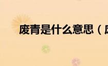 废青是什么意思（废青的意思是什么）