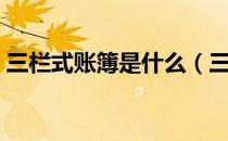 三栏式账簿是什么（三栏式账簿是什么样子）