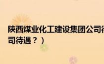 陕西煤业化工建设集团公司待遇（陕西煤业化工建设集团公司待遇？）