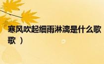 寒风吹起细雨淋漓是什么歌（抖音寒风吹起细雨淋漓是什么歌 ）