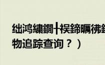 绌鸿繍鐗╂祦鍗曞彿鏌ヨ（如何进行空运货物追踪查询？）