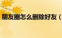 朋友圈怎么删除好友（朋友圈怎么删除好友）