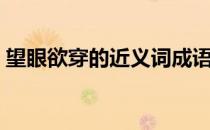 望眼欲穿的近义词成语（望眼欲穿的近义词）
