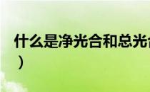 什么是净光合和总光合（什么是净光合速率？）