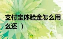 支付宝体验金怎么用（支付宝体验金怎么用怎么还 ）