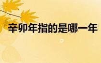 辛卯年指的是哪一年（辛卯年是什么时候）