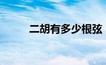 二胡有多少根弦（二胡有几根弦）
