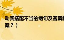 动宾搭配不当的病句及答案解析（动宾搭配不当的病句及答案？）