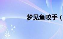 梦见鱼咬手（梦见鱼咬手）
