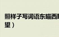 照样子写词语东瞄西瞧（照样子写词语东张西望）