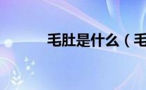 毛肚是什么（毛肚是什么部位）