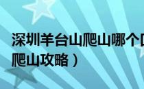深圳羊台山爬山哪个口比较好走（深圳羊台山爬山攻略）