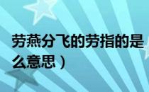劳燕分飞的劳指的是（劳燕分飞的劳指的是什么意思）