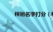 梓旭名字打分（梓旭名字含义？）