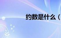 约数是什么（什么是约数）