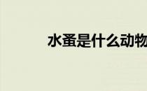 水蚤是什么动物（什么是水蚤）