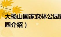 大杨山国家森林公园露营（大杨山国家森林公园介绍）