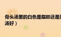 骨头汤里的白色是脂肪还是蛋白质（骨头汤是清汤好还是白汤好）