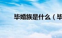 毕婚族是什么（毕婚族是什么意思）