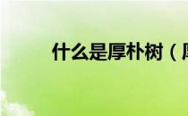 什么是厚朴树（厚朴树是什么树）