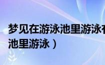 梦见在游泳池里游泳有哪些预兆（梦见在游泳池里游泳）