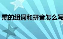 熏的组词和拼音怎么写的（熏的拼音和组词）