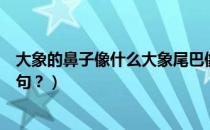 大象的鼻子像什么大象尾巴像什么（大象的鼻子像什么比喻句？）