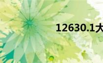 12630.1大写 12630