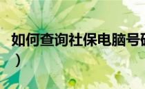 如何查询社保电脑号码（如何查询社保电脑号）
