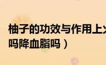 柚子的功效与作用上火还是下火（柚子降血压吗降血脂吗）