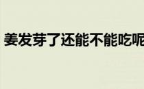 姜发芽了还能不能吃呢（姜发芽了还能吃吗）