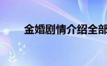 金婚剧情介绍全部（金婚剧情介绍）