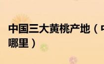 中国三大黄桃产地（中国三大黄桃产地分布在哪里）