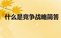 什么是竞争战略简答（什么是竞争战略？）