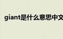 giant是什么意思中文（giant是什么意思）