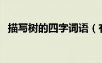 描写树的四字词语（有哪些写树四字词语）