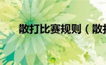 散打比赛规则（散打比赛规则是什么）