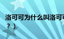 洛可可为什么叫洛可可（罗可可与洛可可区别？）