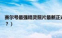 赛尔号最强精灵照片最新正式版（赛尔号忍者精灵有多少只？）