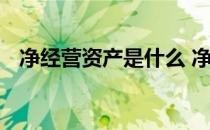 净经营资产是什么 净经营资产是什么意思