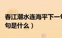 春江潮水连海平下一句（春江潮水连海平下一句是什么）
