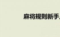 麻将规则新手入门 麻将规则