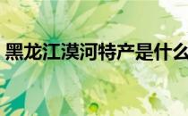 黑龙江漠河特产是什么（黑龙江漠河特产？）