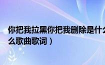 你把我拉黑你把我删除是什么歌（你把我拉黑你把我删除什么歌曲歌词）