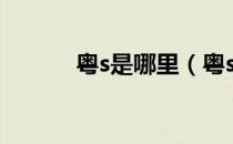 粤s是哪里（粤s是哪里的车牌）