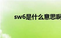sw6是什么意思啊（sw6是什么？）