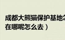 成都大熊猫保护基地怎么去（成都大熊猫基地在哪呢怎么去）