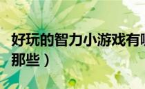 好玩的智力小游戏有哪些（经典的智力游戏有那些）